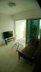 Eight Riversuites (D12), Condominium #520155461